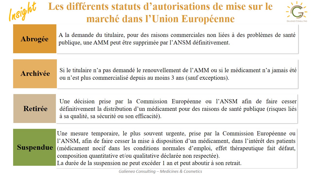 Les différents statuts d’AMM - Galienéo Consulting